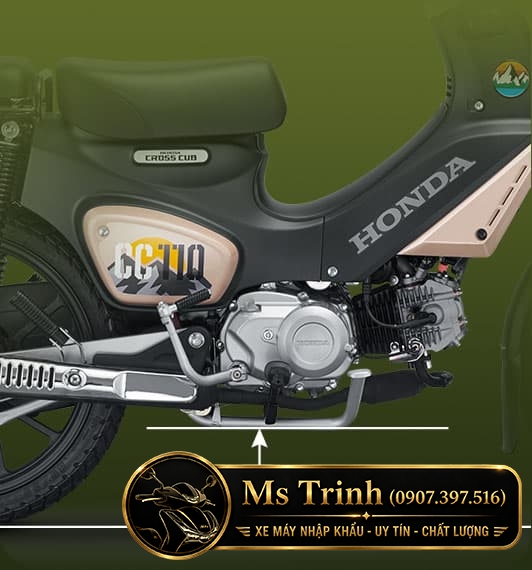Honda Cross Cub CC110 2026 Special Version tại Tây Ninh Bản Special có gì khiến người mê Cub muốn sở hữu?