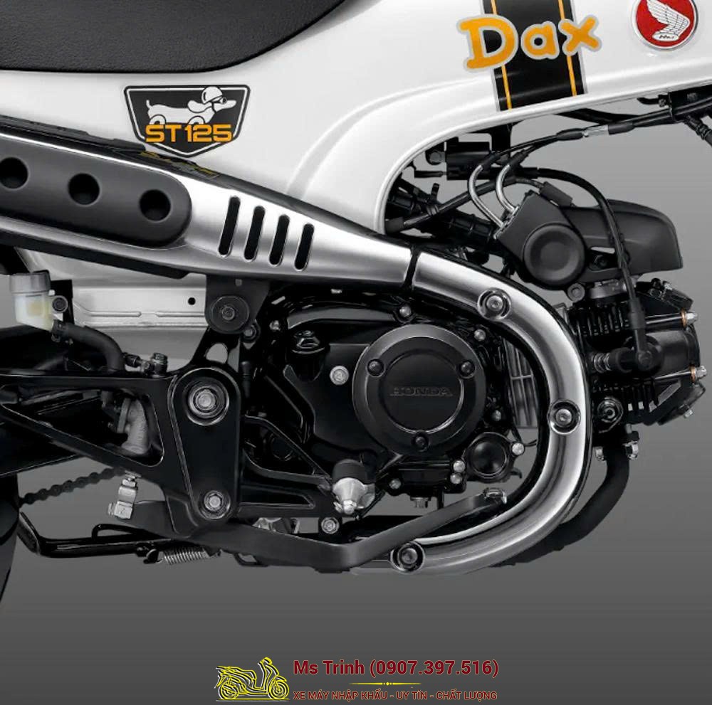 Honda Dax ST125 2026 tại Tây Ninh - Minibike huyền thoại khung T-Bone đầy cá tính