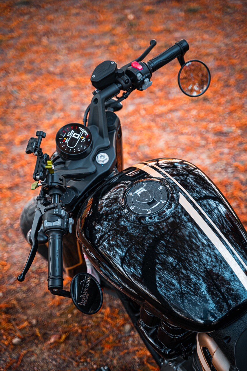 Benda Napoleon 500 Bobber, Phân Phối Chính Hãng, Giá Rẻ Tại Tây Ninh