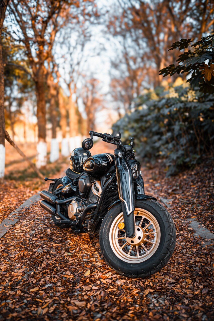 Benda Napoleon 500 Bobber, Phân Phối Chính Hãng, Giá Rẻ Tại Tây Ninh