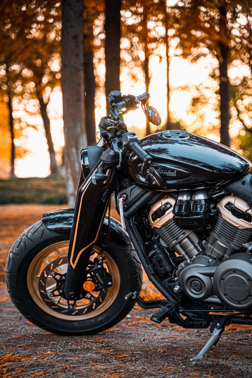 Benda Napoleon 500 Bobber, Phân Phối Chính Hãng, Giá Rẻ Tại Tây Ninh